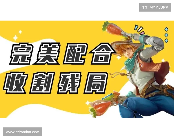 提升打野位协作技巧助力团队完美配合与胜利 提升打野位协作技巧助力团队完美配合与胜利
