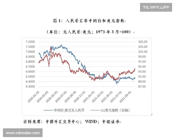 人民币原材料价格波动及其对中国经济影响的全面分析与研究 人民币原材料价格波动及其对中国经济影响的全面分析与研究