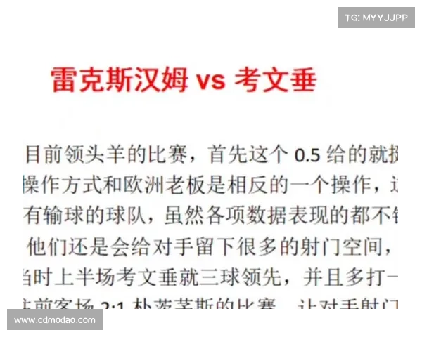 全面解析英冠赛事最新动态与观赛指南助你轻松掌握联赛精彩看点