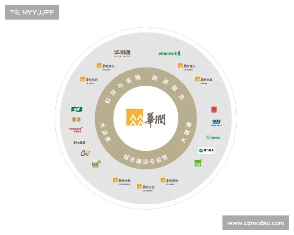 安联赞助商案例分析及其对品牌战略的启示与实践探讨