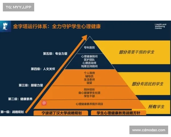 巴舒亚伊语言背景及其对比分析：多元文化语境下的语言特征与社会意义