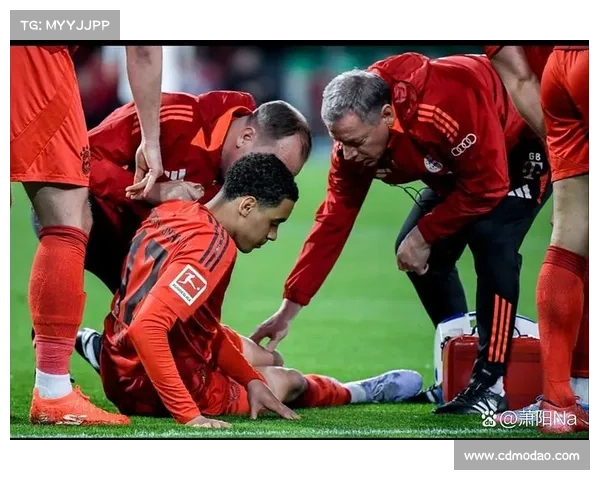 德甲联赛面临挑战 拜仁慕尼黑统治地位如何影响联赛竞争格局