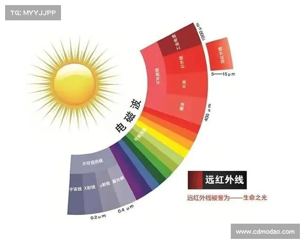 2023冬季转会窗全面指南与技巧助你精准掌握球员流动关键策略