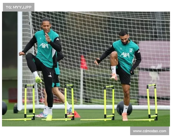 探秘欧冠联赛 揭开足球世界巅峰对决的神秘面纱