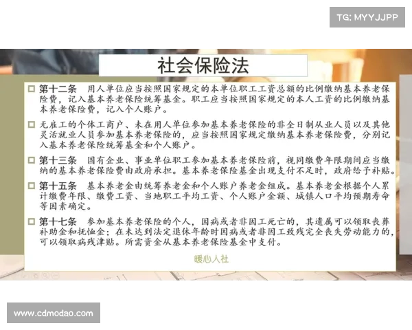如何报名参与中国职业联赛工作会议并获得参会资格的详细步骤和要求