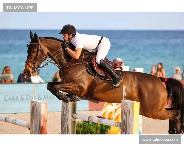 幻想王国马术表演赛小组赛精彩纷呈 各队角逐冠军荣耀 激烈对决引爆全场热情