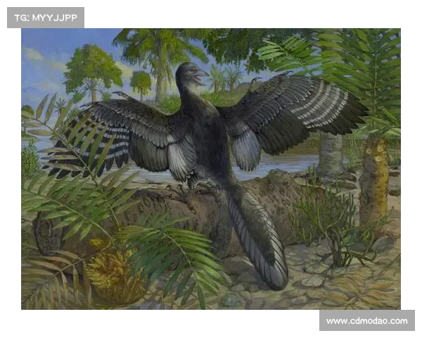 德黑兰独立足球队崛起的五大理由揭示其成功秘诀 德黑兰独立足球队崛起的五大理由揭示其成功秘诀